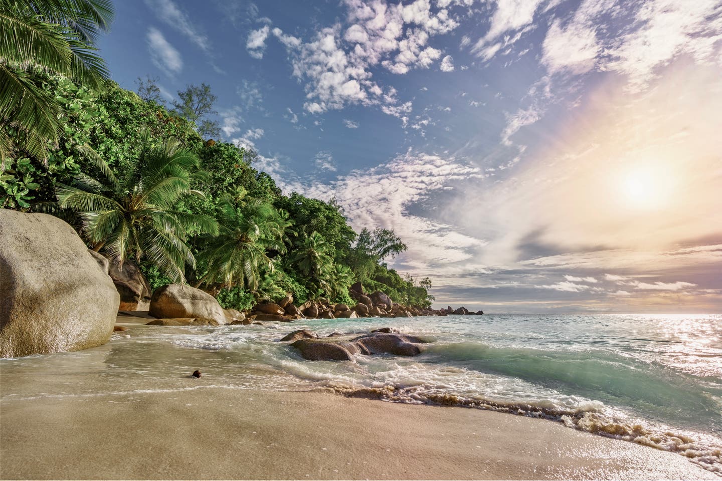 Inselparadies Seychellen: verlassen wirkender Strand mit tropischen Palmen 