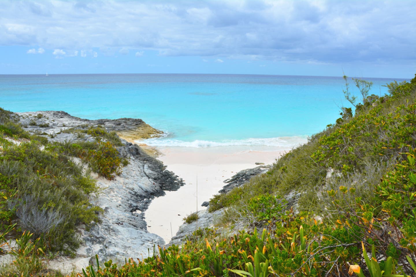 Hotels auf Harbour Island