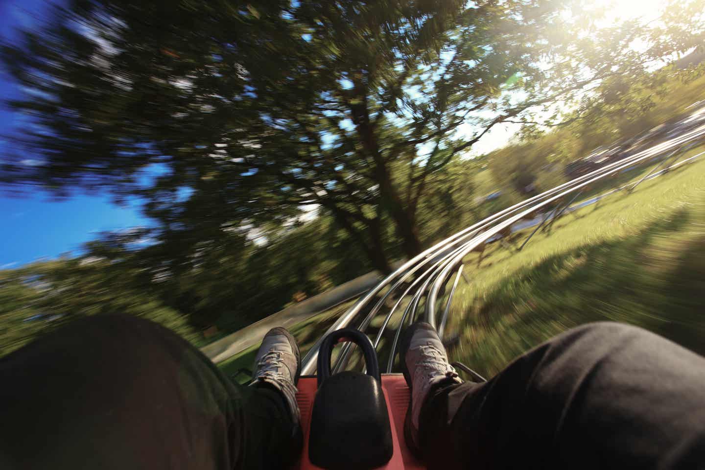 Thüringer Wald Urlaub mit DERTOUR. Fahrt auf einer Sommerrodelbahn im Thüringer Wald aus der Sicht des Fahrers