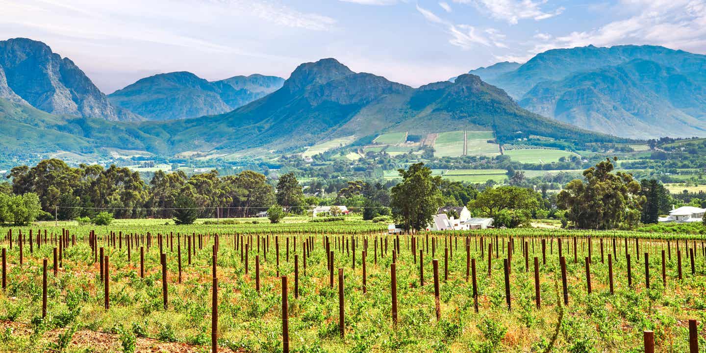 Weinberge von Stellenbosch mit Blick auf das Bergpanorama in Südafrika