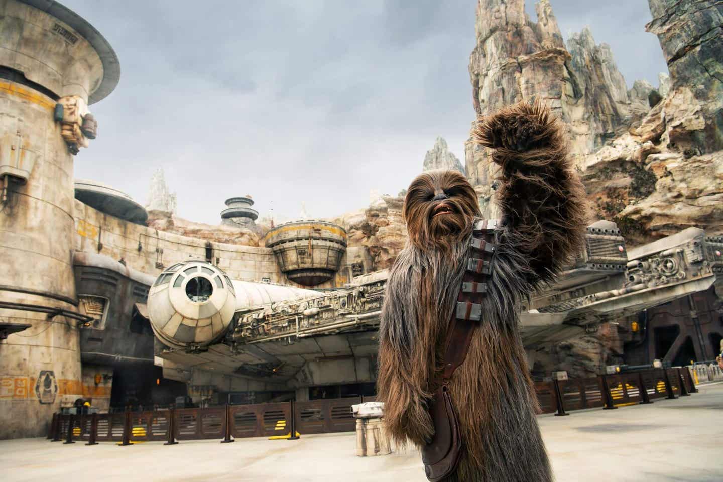 Chewbacca in Disneys Hollywood Studios