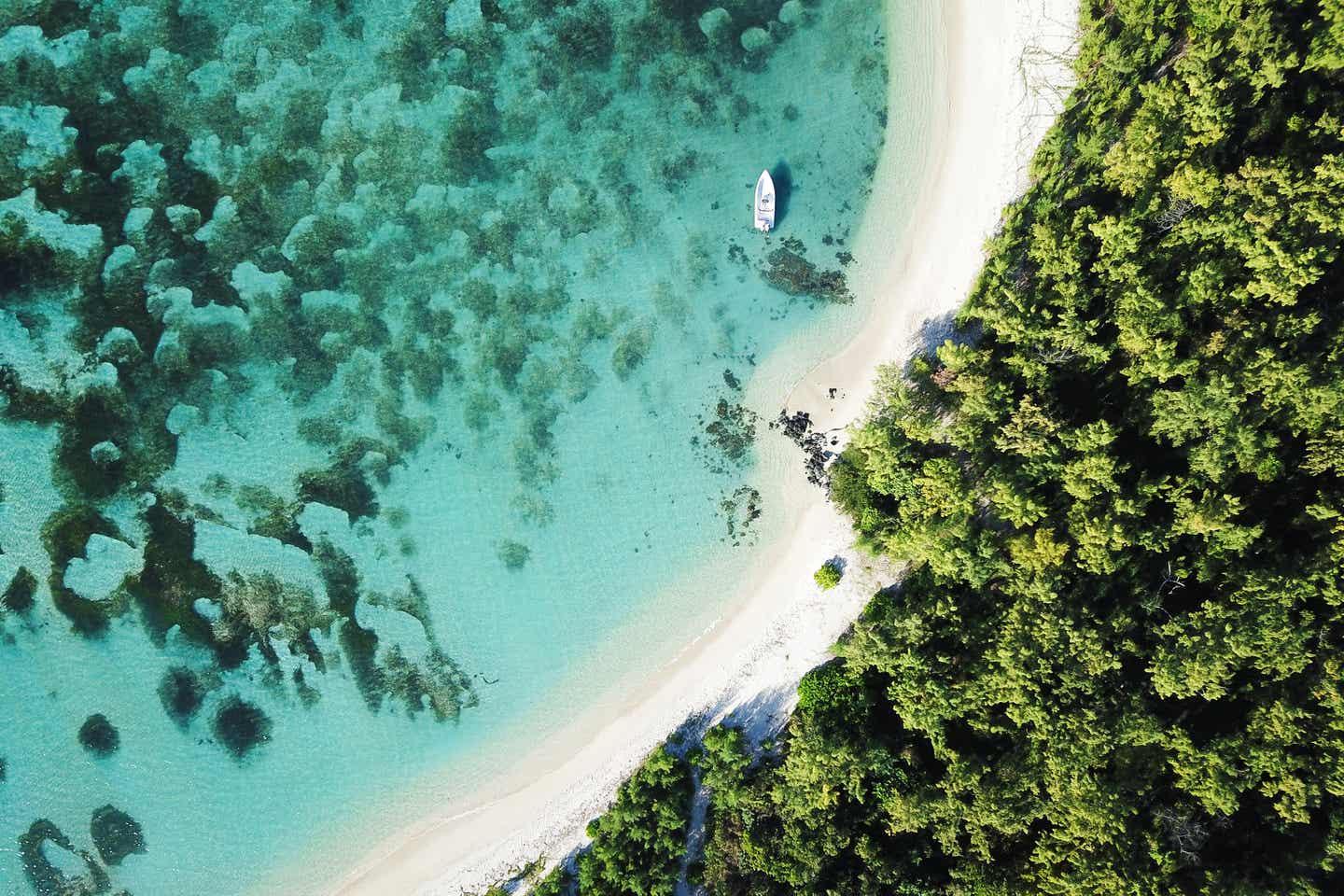 Dichte Dschungelvegetation am Strand