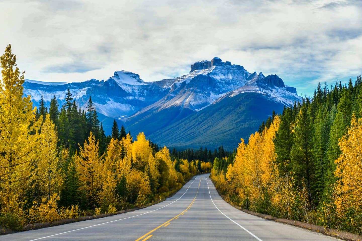Rundreisen Kanada: Straße im Jasper Nationalpark in der kanadischen Provinz Alberta Rundreisen Kanada: Straße im Jasper Nationalpark in der kanadischen Provinz Alberta