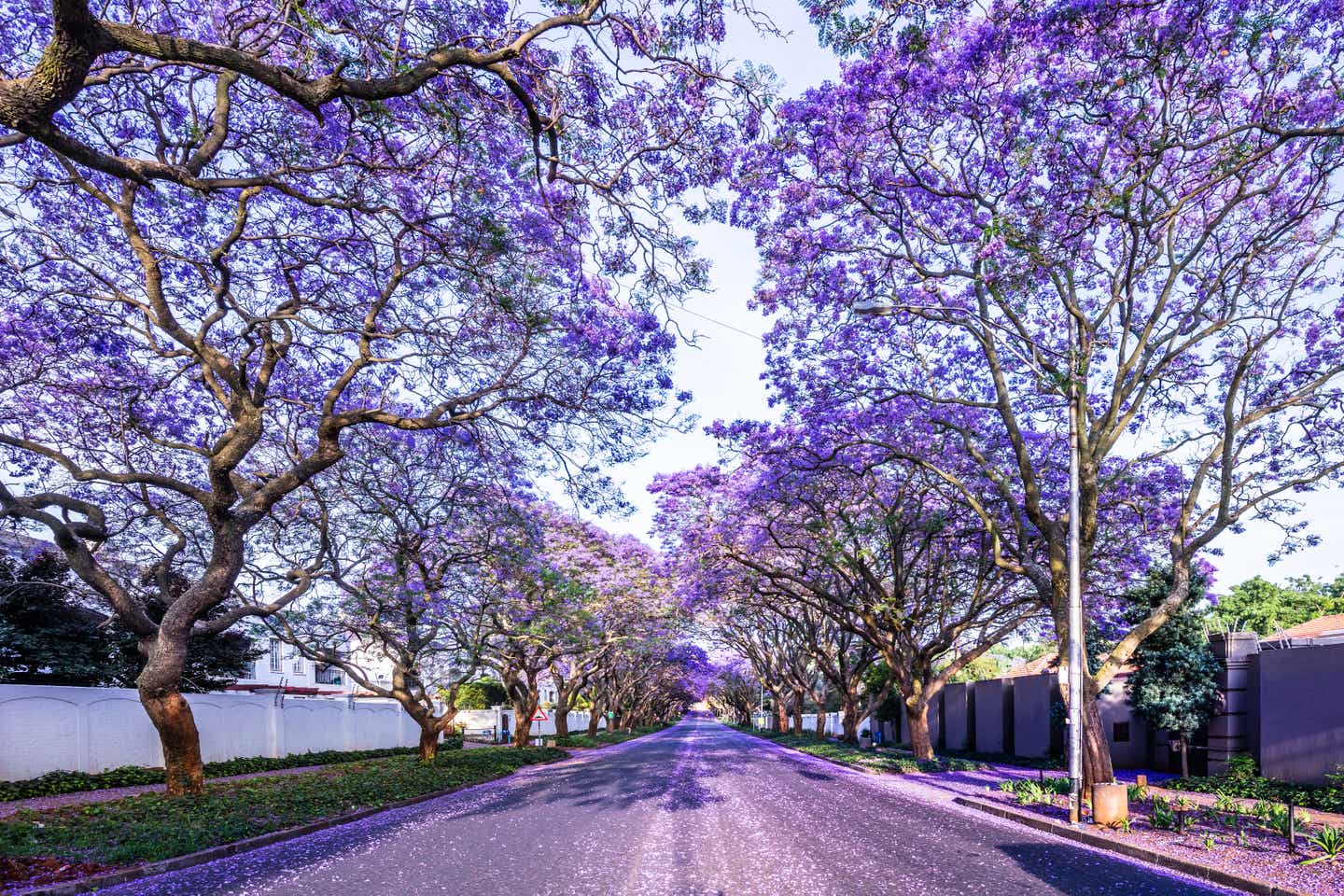 Johannesburg Sehenswürdigkeiten