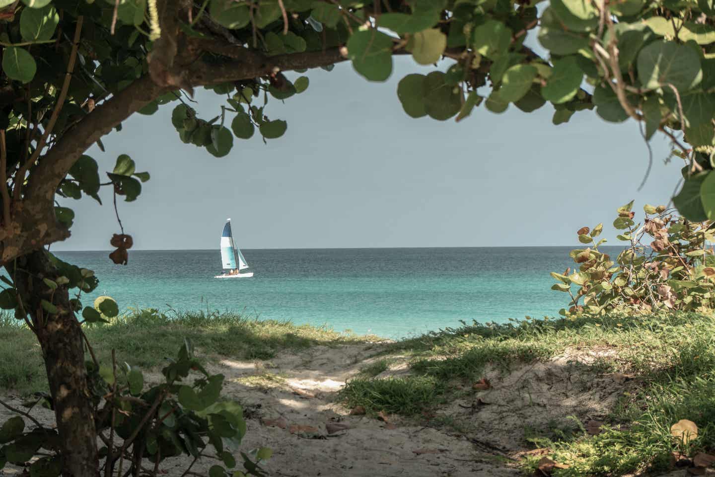 Varadero Urlaub mit DERTOUR. Blick durch Vegetation am Strand von Varadero auf Meer und ein Segelboot