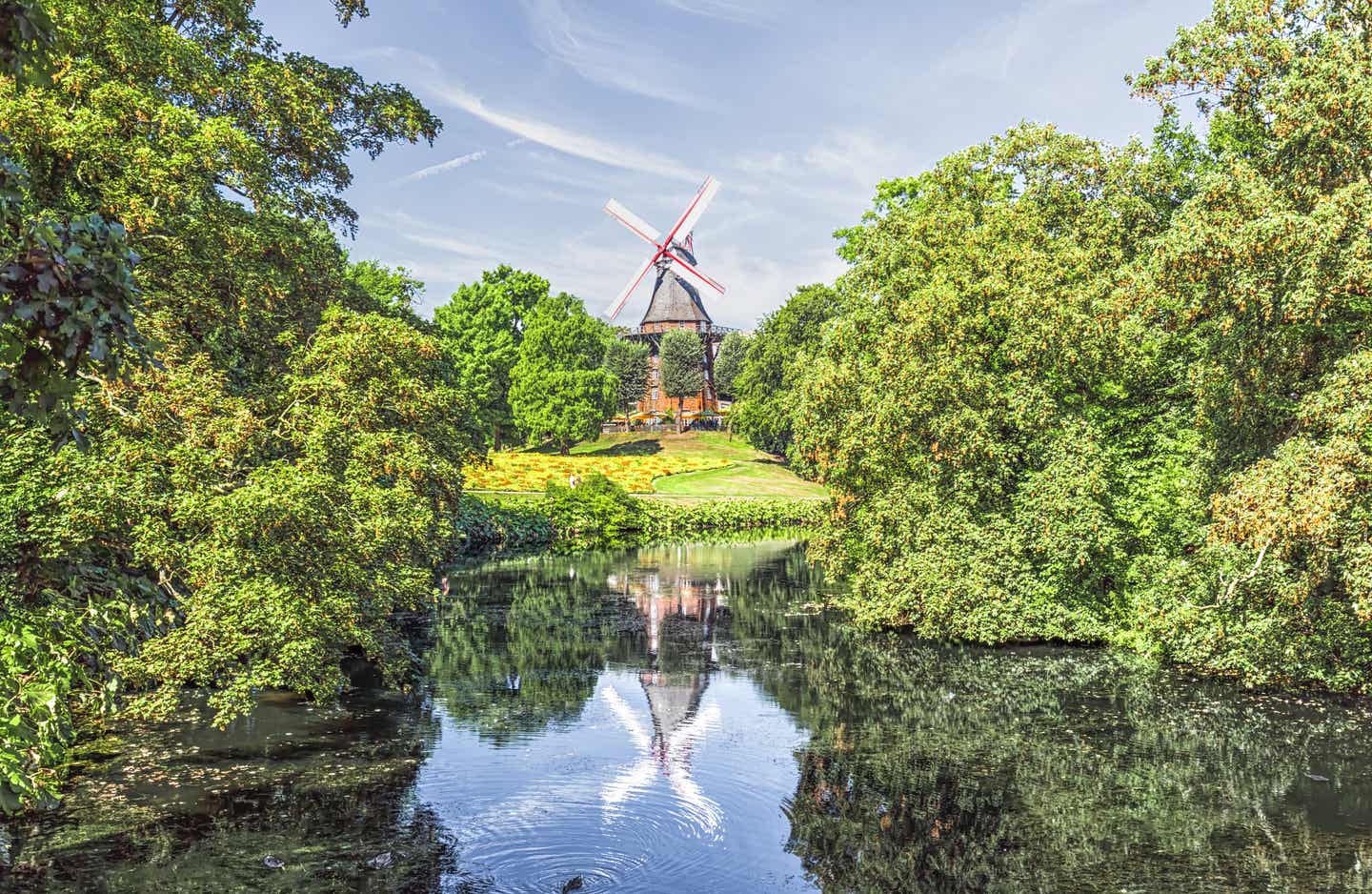 Mitten in der Stadt: die Windmühle in den Wallanlagen liegt circa 10 Minuten Fußweg vom Rathaus entfernt Eine typisch norddeutsche Windmühle an einem Fluss mit Bäumen drumherum