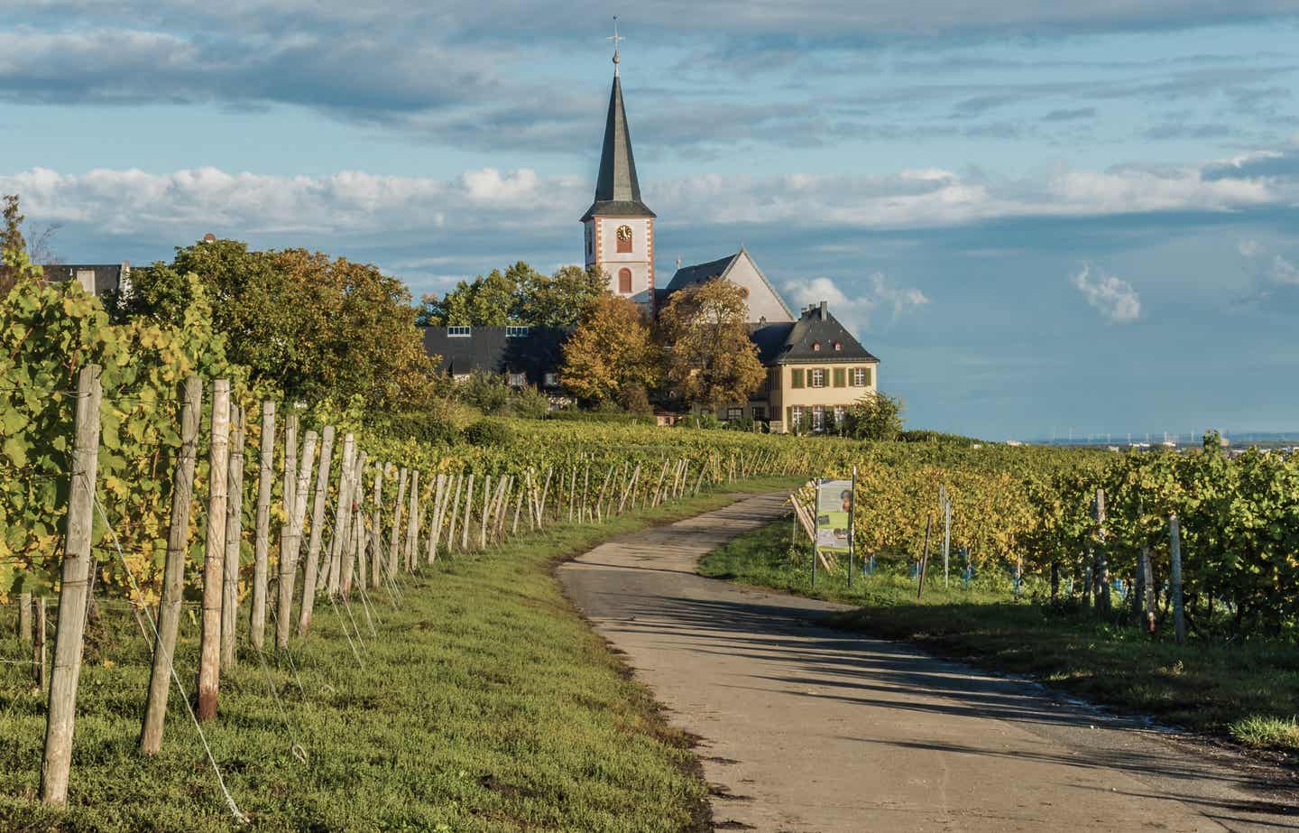 Hessen Urlaub mit DERTOUR. Weinberg bei Hochheim in Hessen mit Kirche St. Peter und Paul im Hintergrund