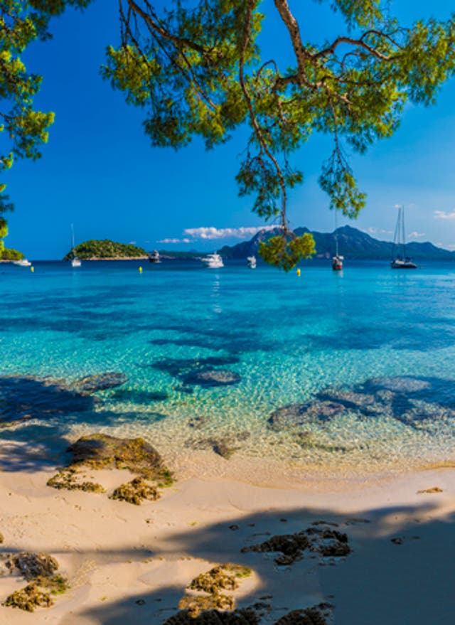 Hotel auf Mallorca buchen Segelboote am Playa de Formentor, Mallorca