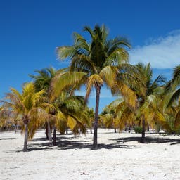 Hotel Cayo Largo del sur