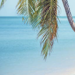 Familienhotels auf Koh Samui