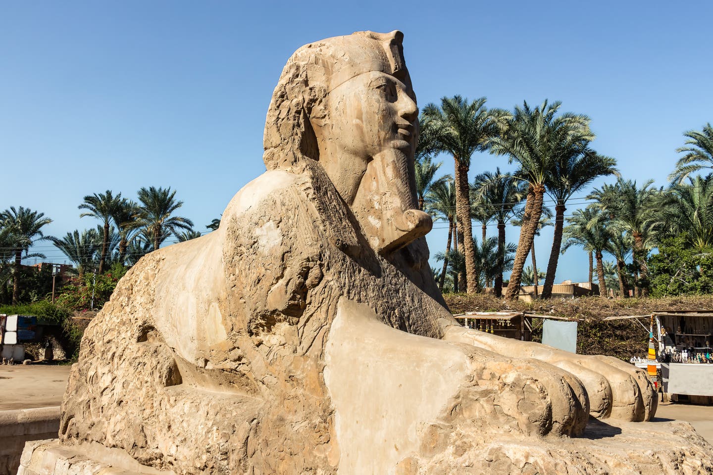 Memphis Museum Kairo: Sphinx von Memphis