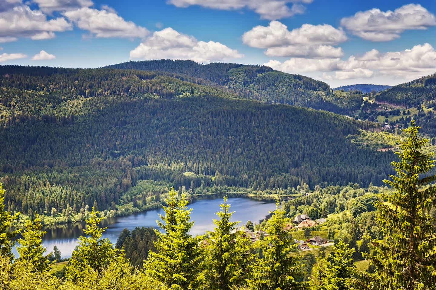 Blick auf den Schluchsee im Schwarzwald; im Hintergrund sind dichte grüne Wälder zu sehen