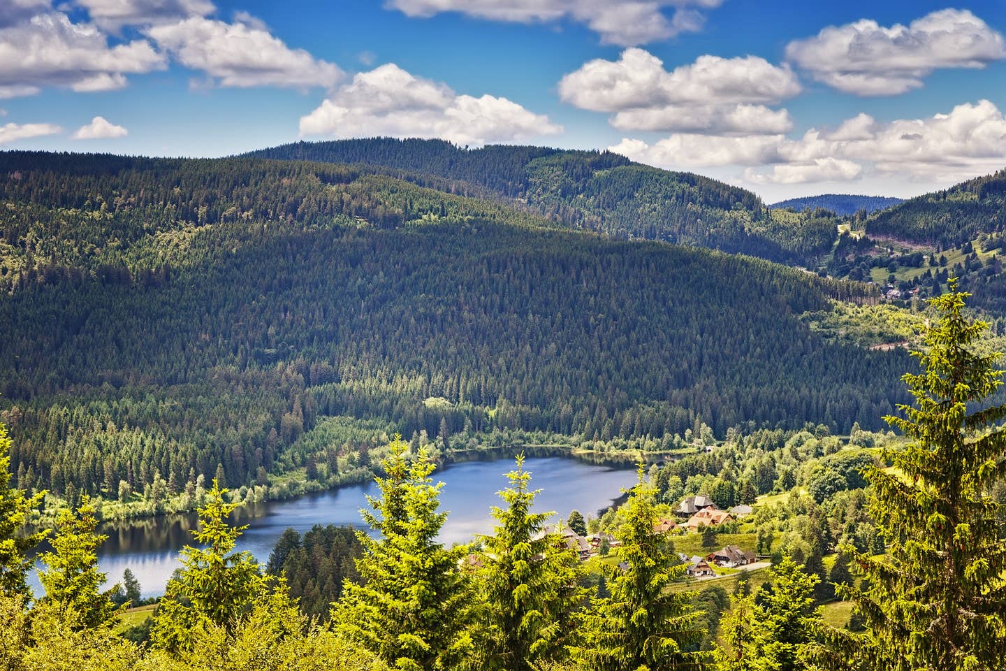 Schwarzwald – der Schluchsee