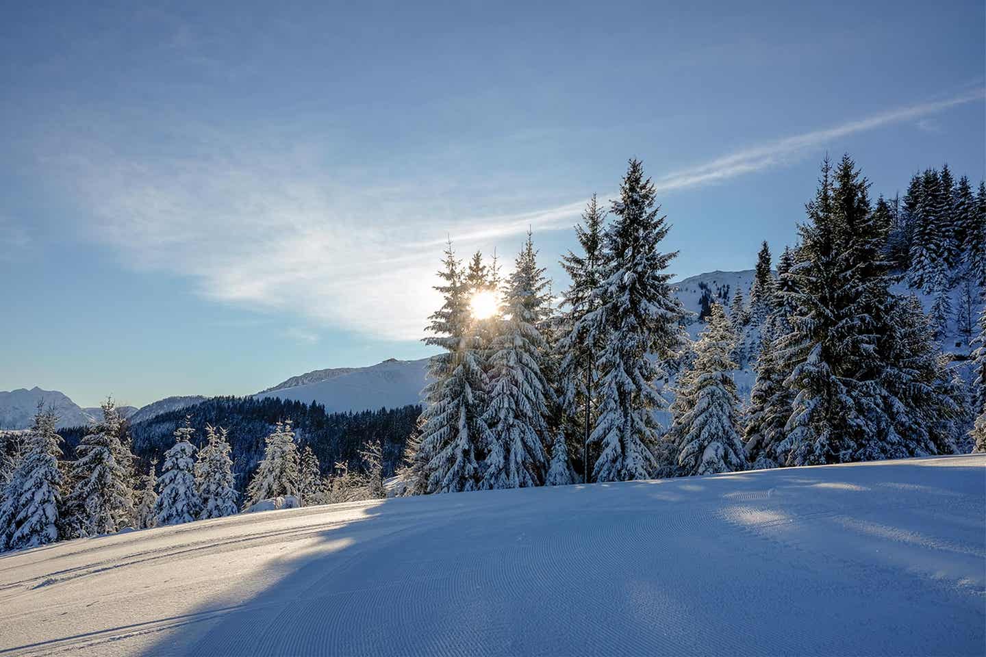 Schneebedeckte Tannen im Skigebiet Wilder Kaiser