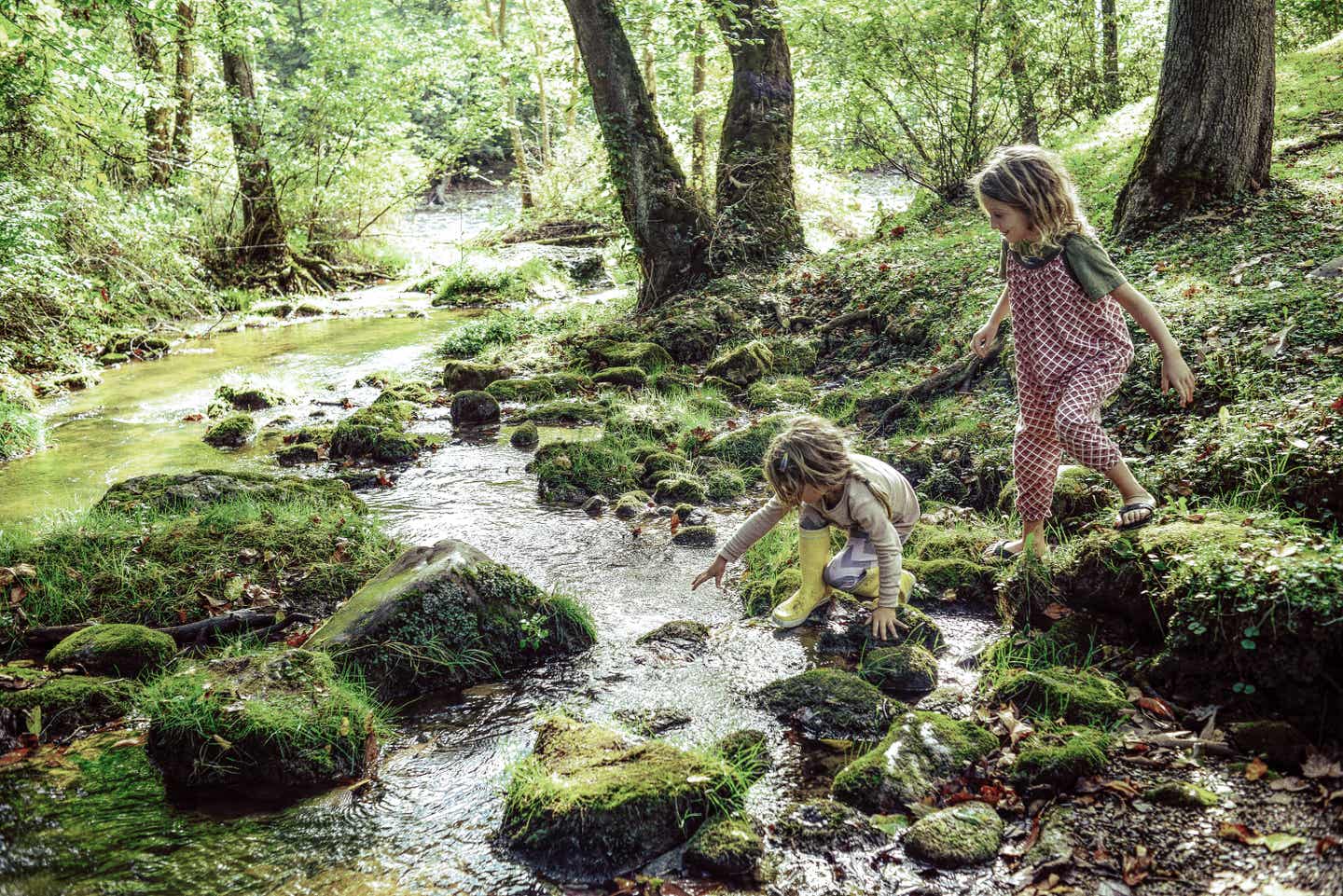 Harz Urlaub mit DERTOUR. Spielende Kinder an einem Bach im Wald