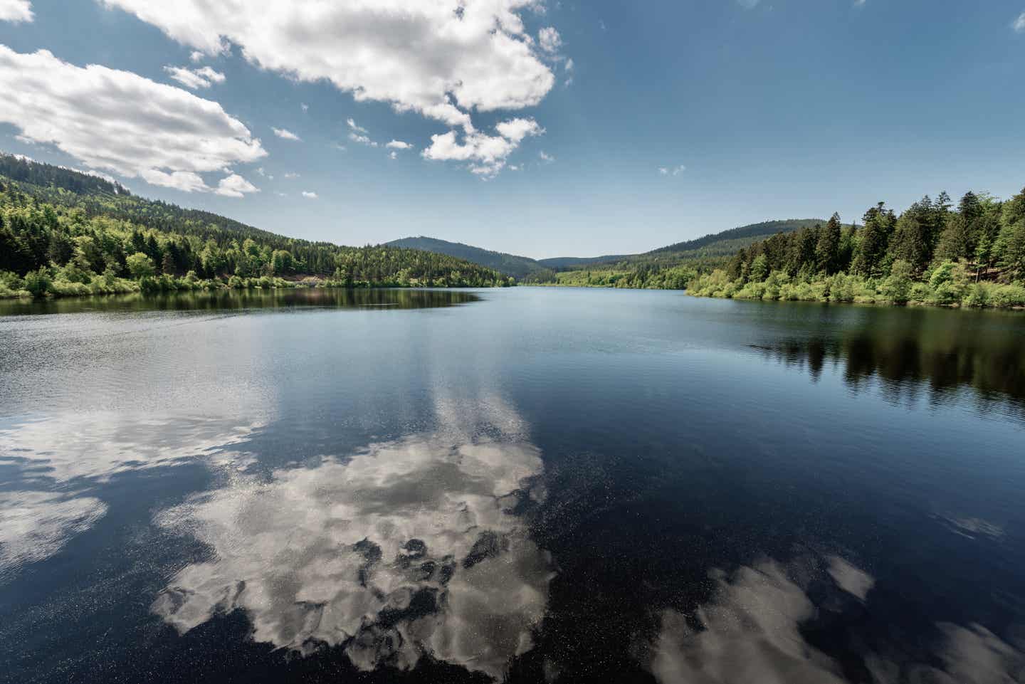 Blick auf die Schwarzenbachtalsperre im Schwarzwald, in der sich der blaue Himmel und die Wolken spiegeln; im Hintergrund Bäume und grüne Hügel