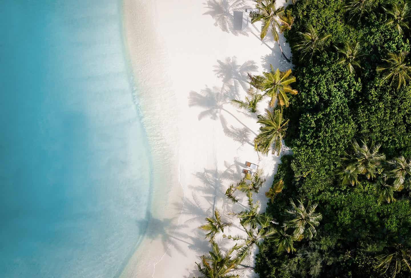 Ein Strand der Malediven, typisch für Urlaub im Indischen Ozean, mit weißem, feinem Sand, Palmen und türkisfarbenem Wasser, aus der Luft fotografiert