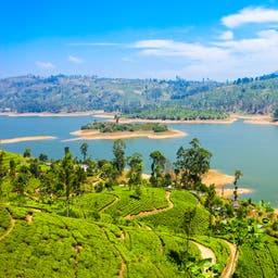 All-inclusive-Hotels auf Sri Lanka