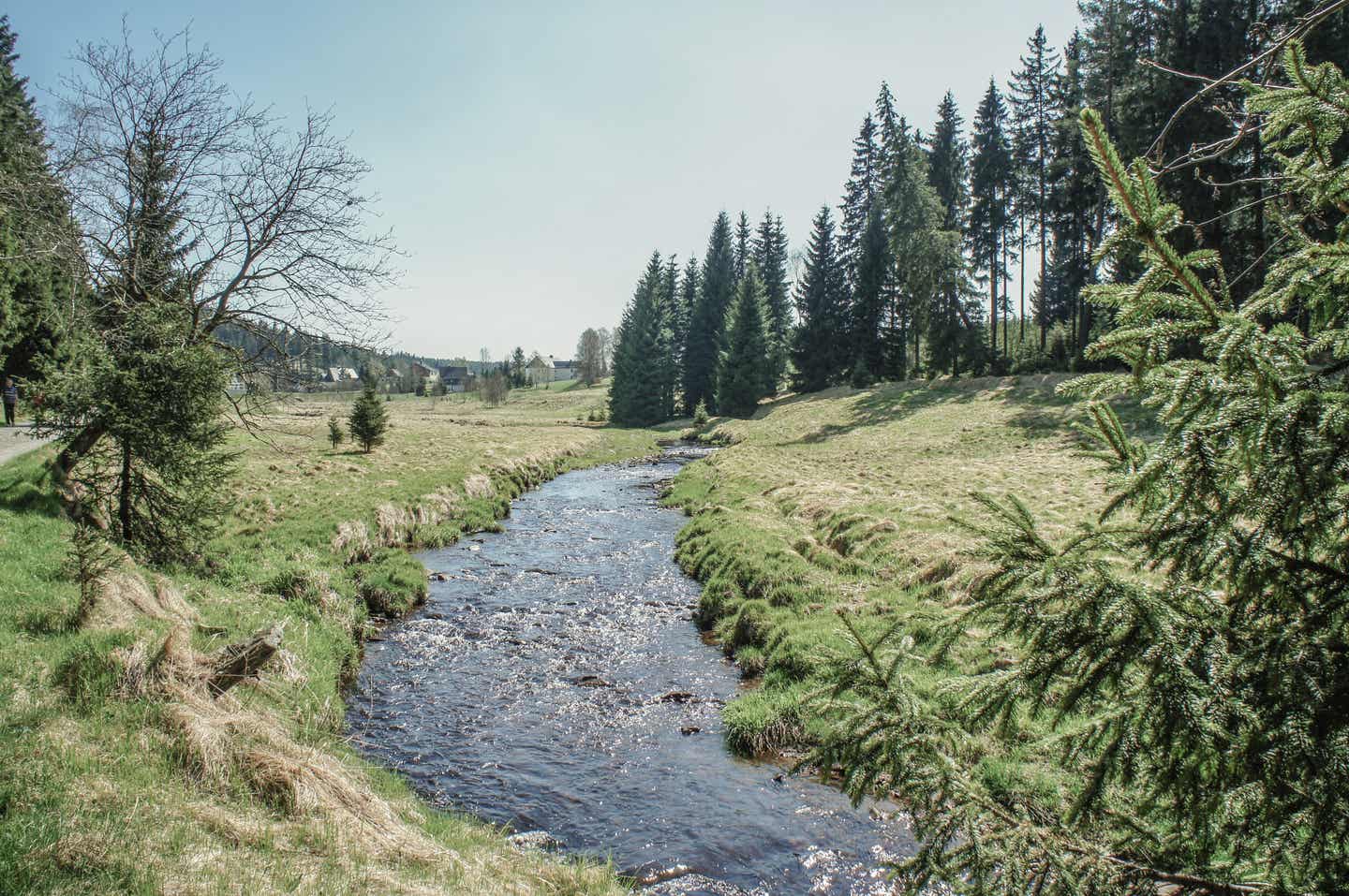 Erzgebirge Urlaub mit DERTOUR. Bach im Schwarzwassertal im Erzgebirge