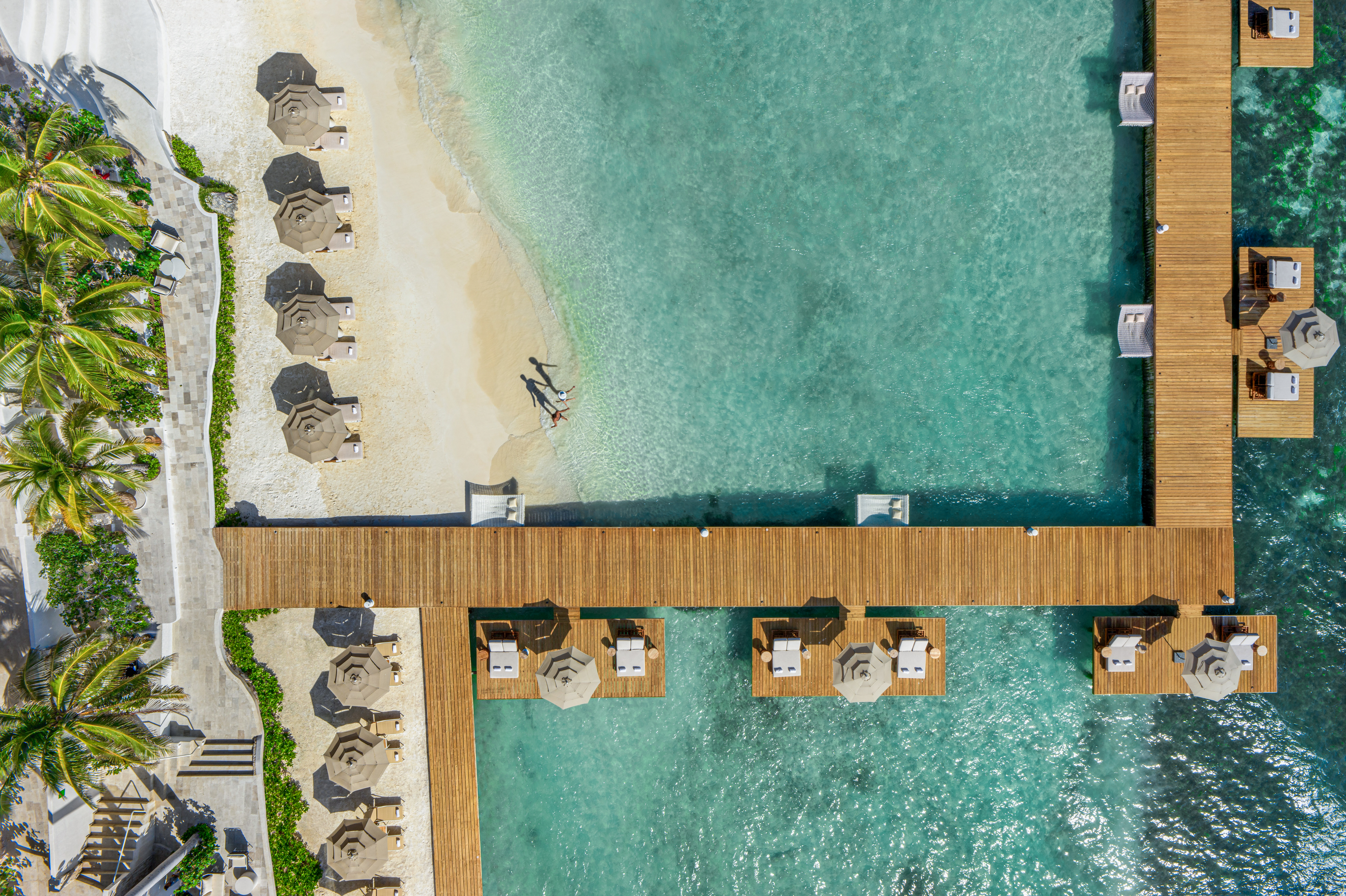 Beach Aerial Palmen Strand Meer 