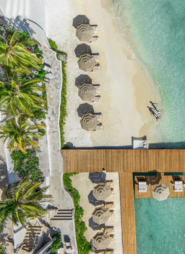 Mehr erfahren Beach Aerial Palmen Strand Meer