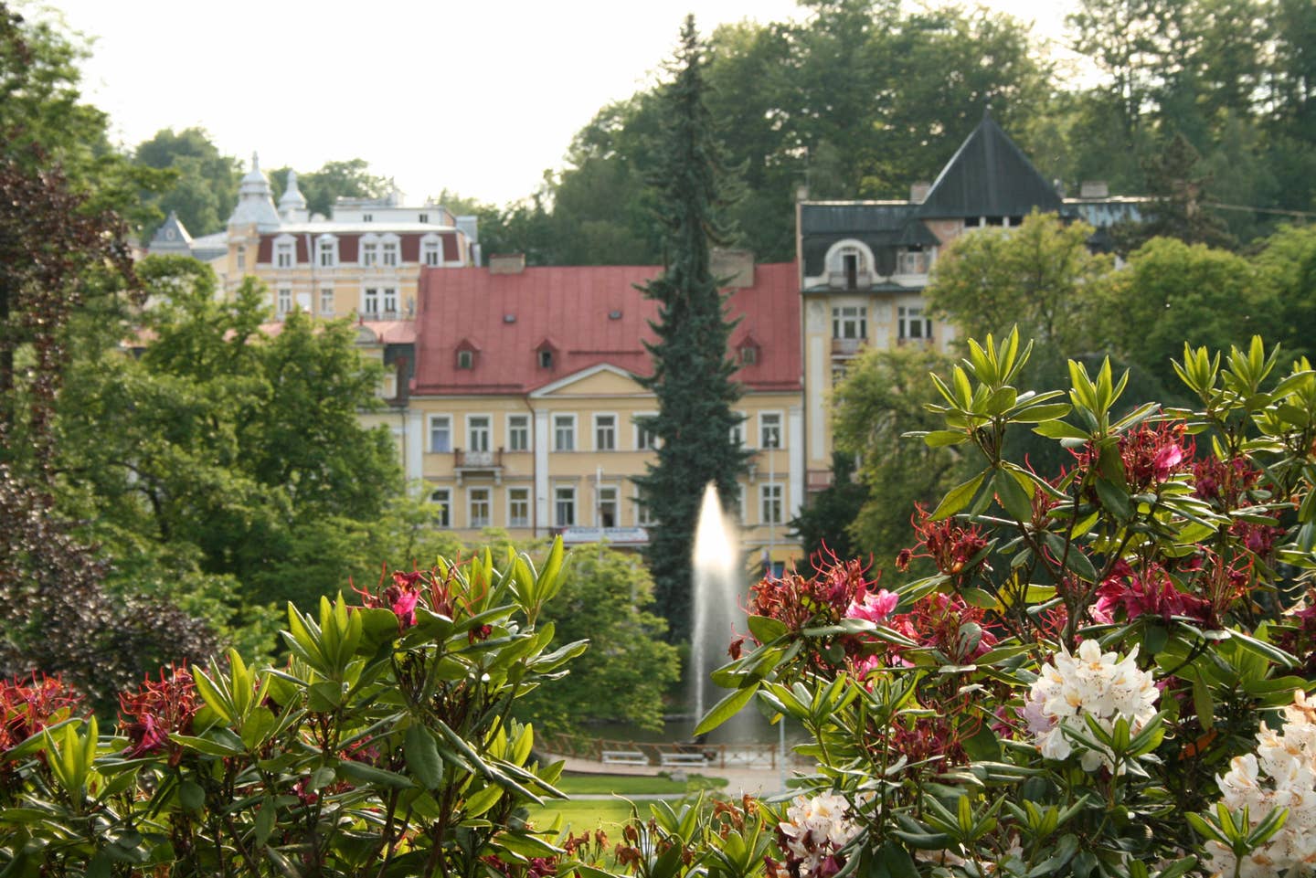 Park in Marienbad 