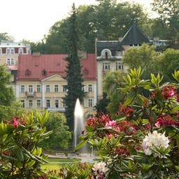 tschechien-marienbad-haus-park-t-91704988.jpg