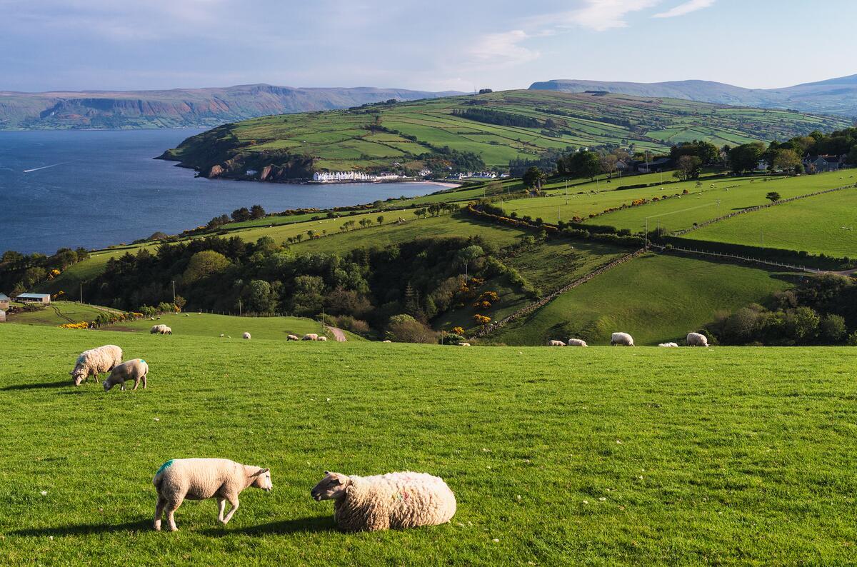 Blick auf Cushendun von Torr Head in Irland