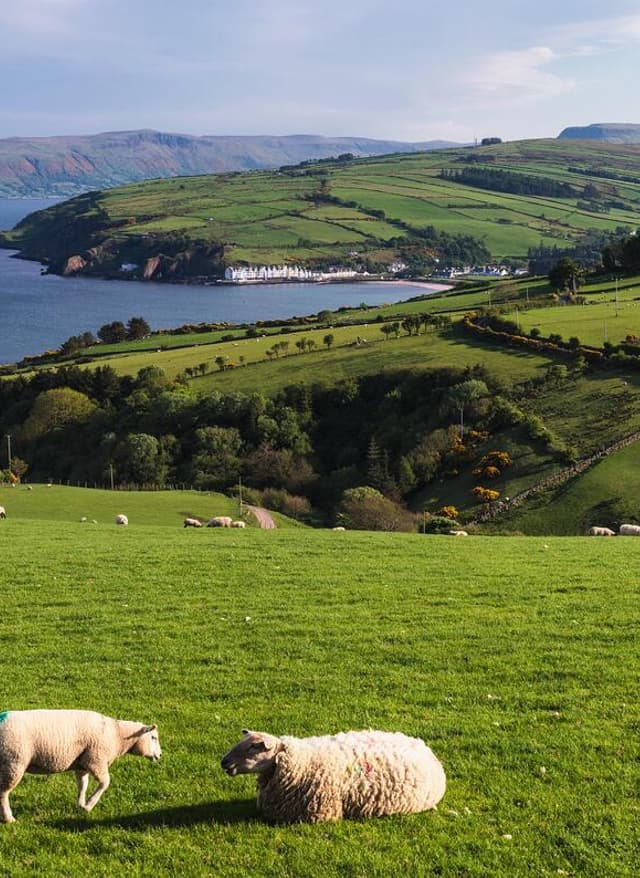 Jetzt entdecken Blick auf Cushendun von Torr Head in Irland
