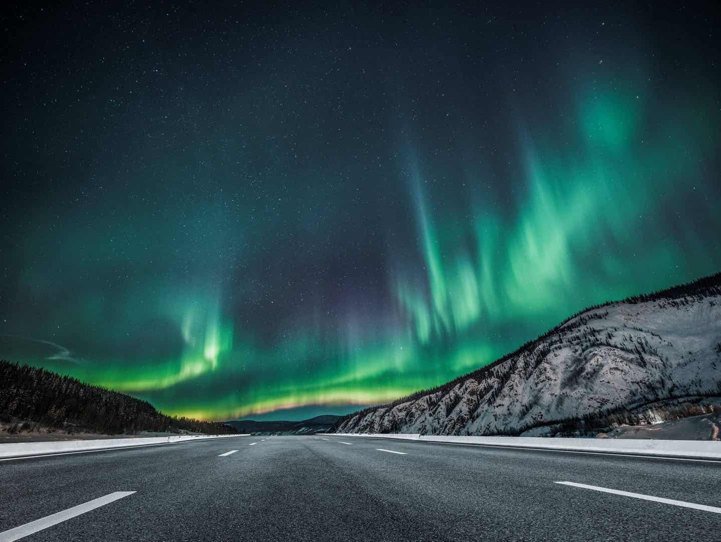 Nordlichter über einer winterlichen Straße