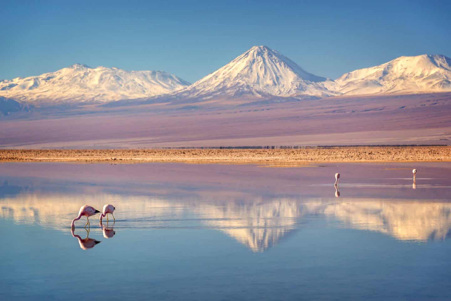 Licancabur-Vulkan in Chile: Natur-Sehenswürdigkeit