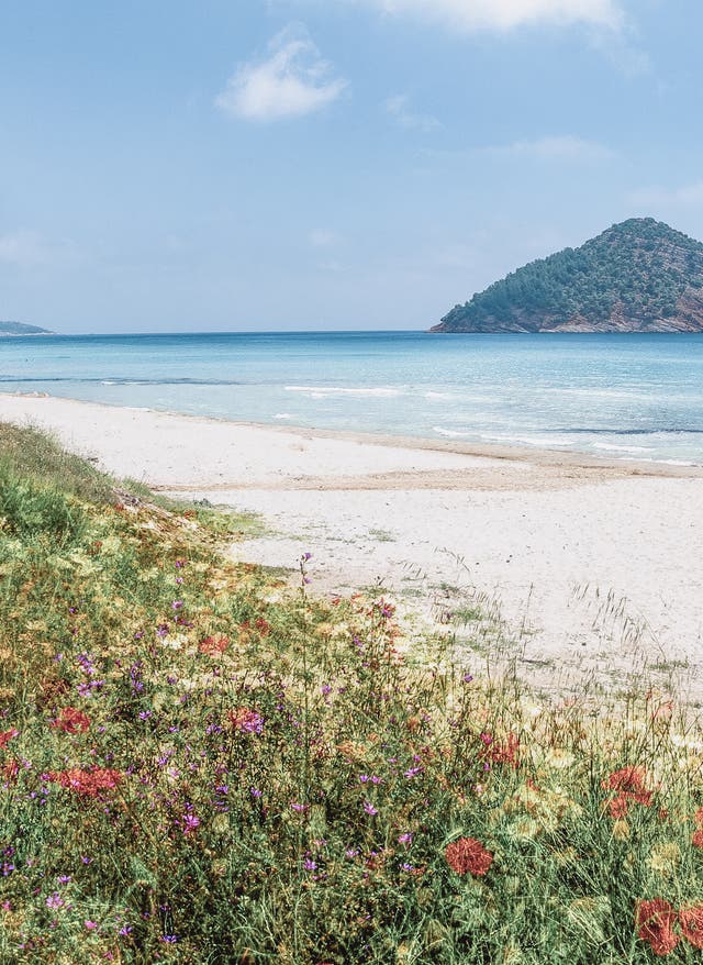 Sehenswürdigkeiten in Thassos Sehenswürdigkeiten Thassos: der Panoramablick auf den Golden Beach