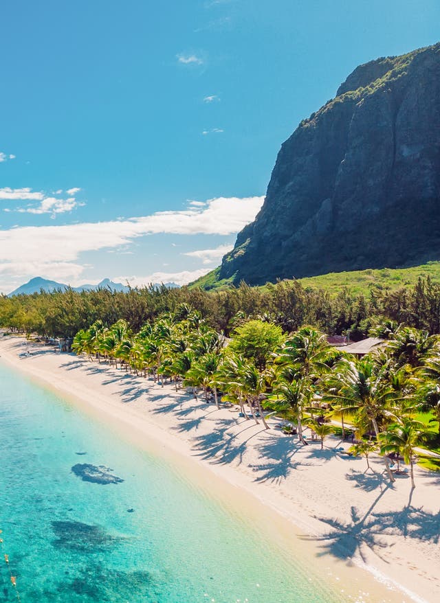 Schönste Strände Mauritius Langer Sandstrand vor der Küste Mauritius' mit glasklarem Wasser, dicht bewachsenen Palmen und dem Berg Le Morne im Hintergrund