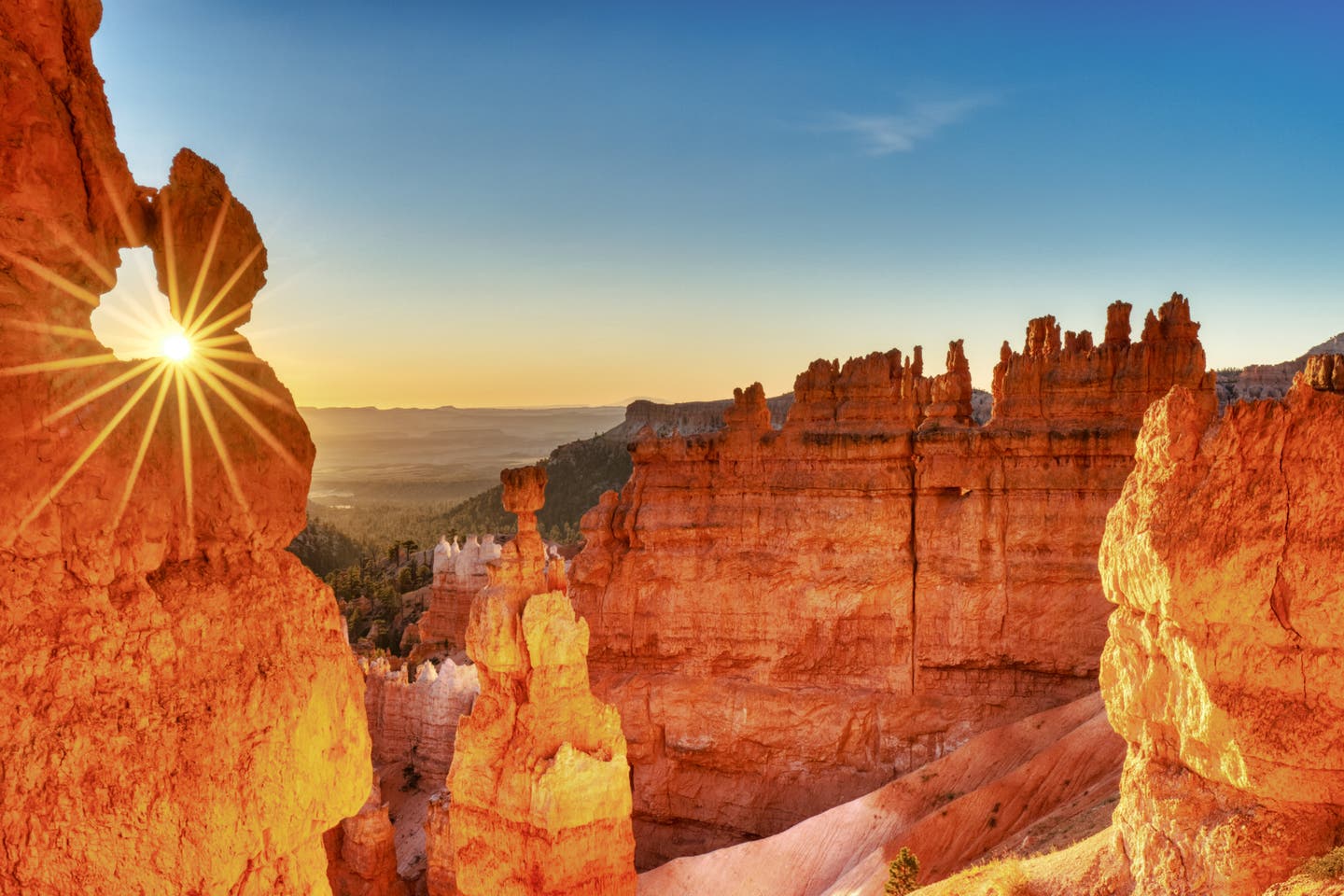 Der Bryce Canyon im Sonnenlicht vor klarem, blauem Himmel, in der Mitte die berühmte Felsformation Thors Hammer