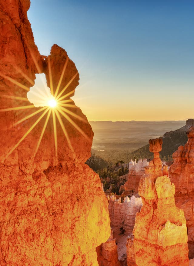 Bryce Canyon Sehenswürdigkeiten Der Bryce Canyon im Sonnenlicht vor klarem, blauem Himmel, in der Mitte die berühmte Felsformation Thors Hammer