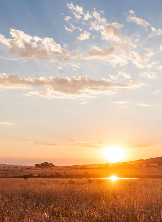 Die schönsten Nationalparks Südafrikas Traumhafter Sonnenuntergang in südafrikanischem Nationalpark
