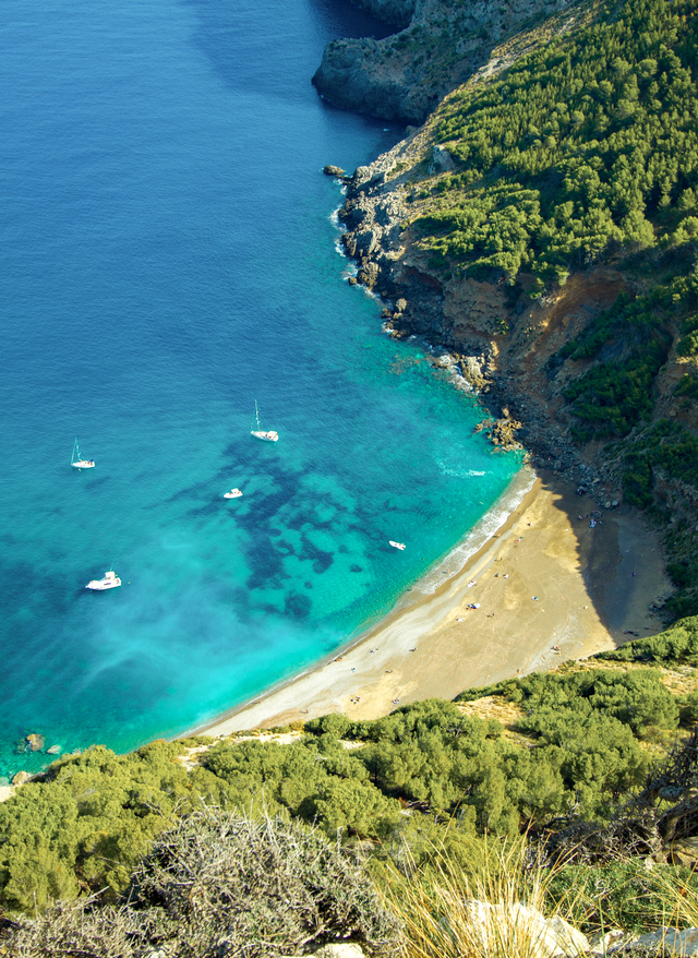 Mallorca Urlaub Mallorca Coll Baix Alcudia Strand