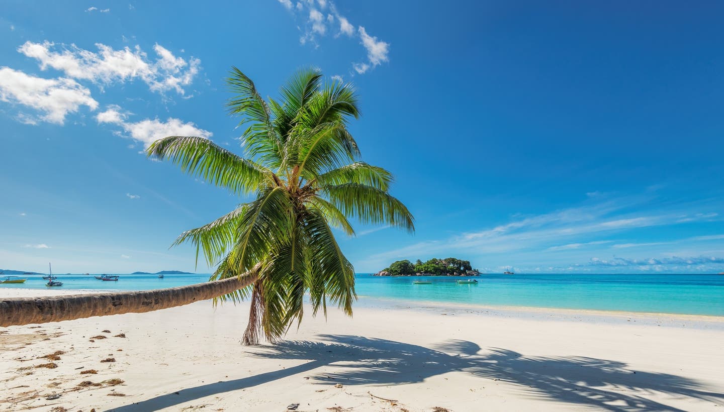 Reisekalender November: Strand auf den Malediven