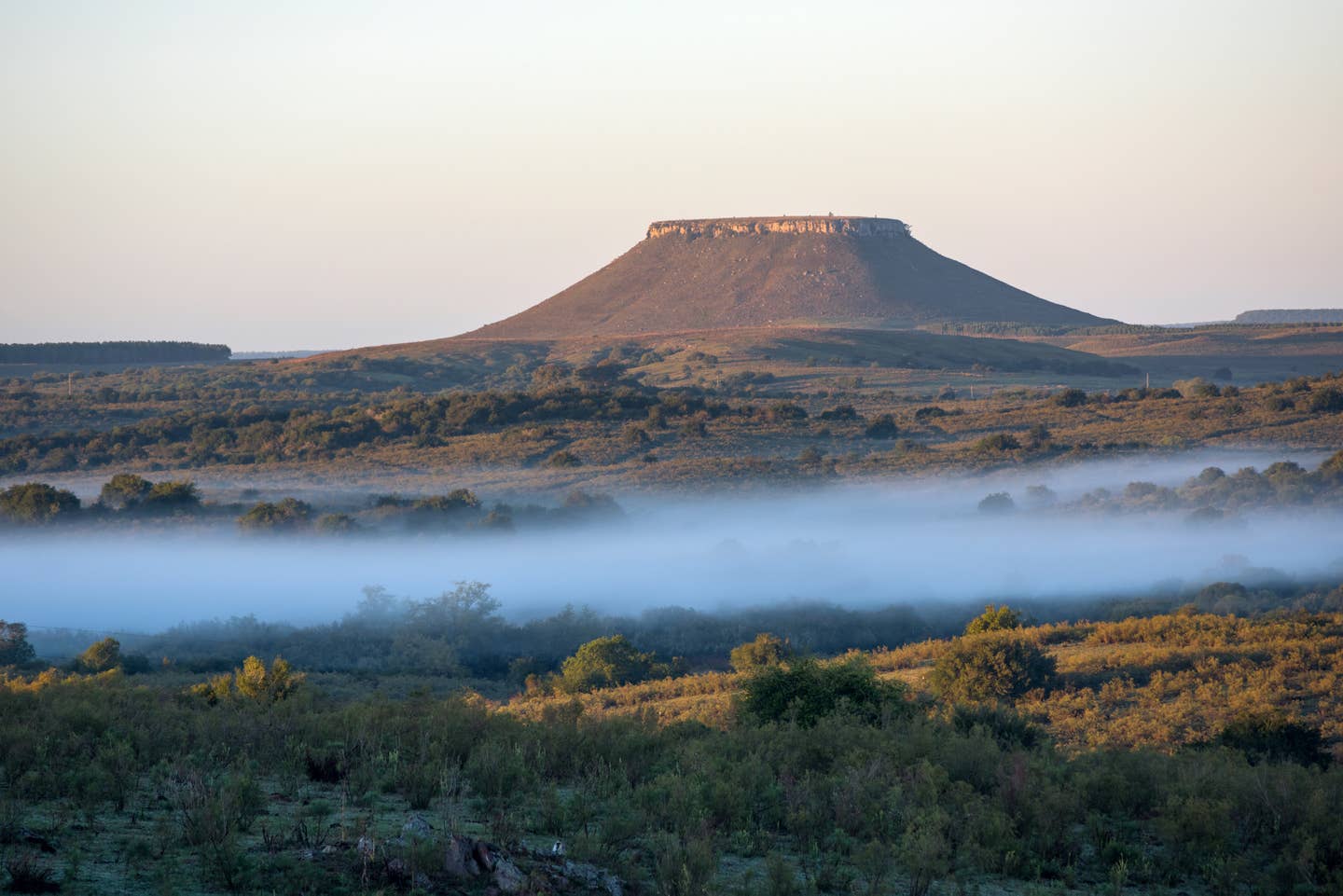 Rundreisen Uruguay: Hügel in der Landschaft von Cuchilla del Ombu im Norden Uruguays