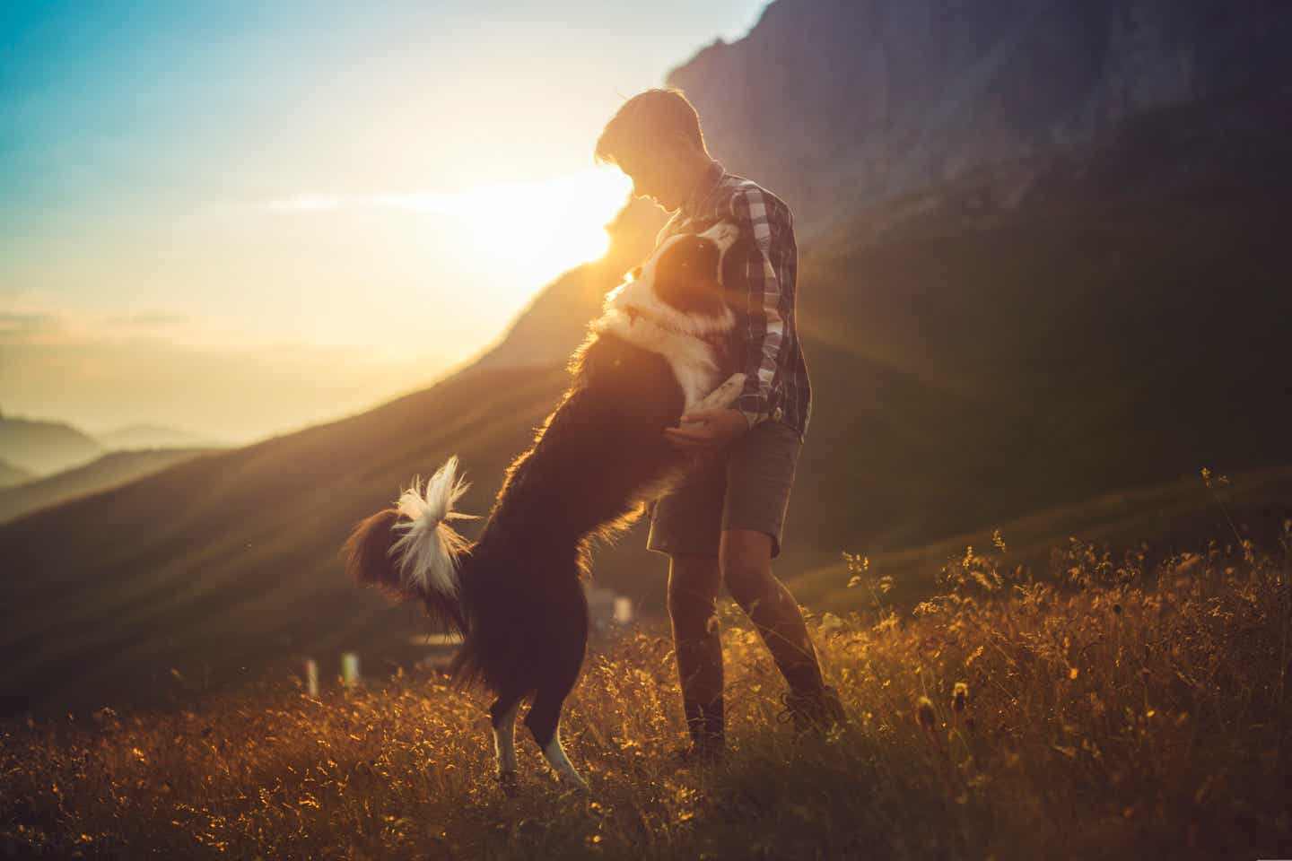 Herrchen mit Hund bei Sonnenuntergang in den Bergen