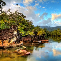 madagaskar-tropischer-fluss-masoala_national_park-g-477786018.jpg