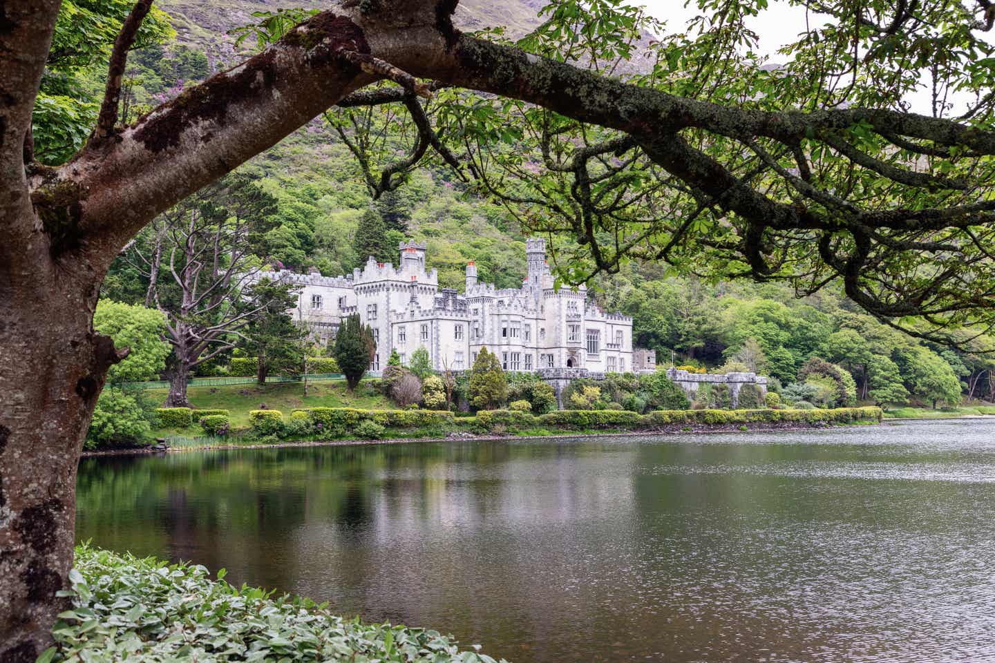 Kylemore Abbey in Connemara: Schloss an See im Wald Kylemore Abbey in Connemara: Schloss an See im Wald
