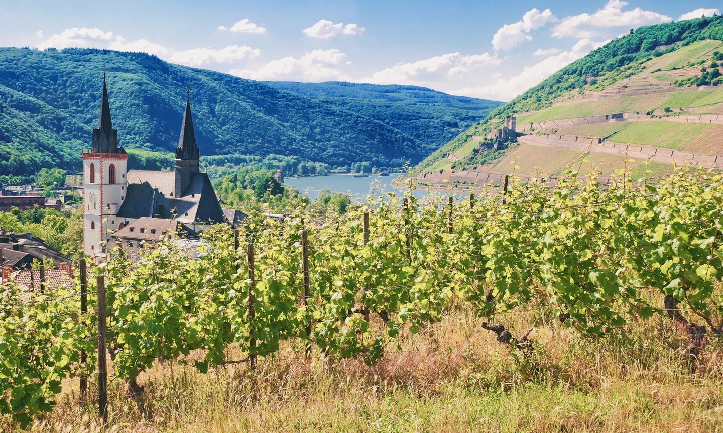 Urlaub in Rheinland-Pfalz mit DERTOUR. Rheinknie bei Bingen: Blick über Weinberge auf Burg Ehrenfels