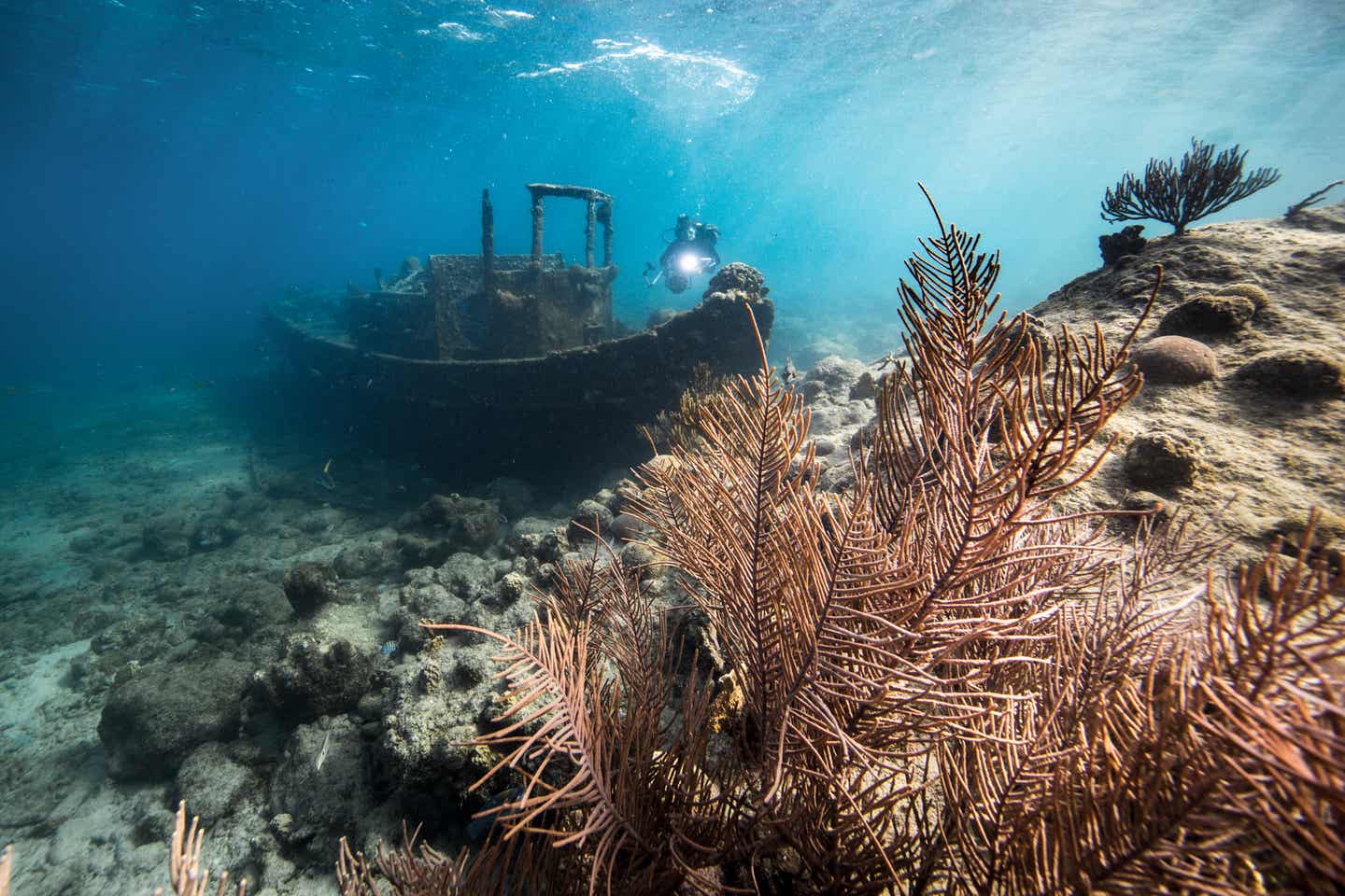 Curacao beste Reisezeit: Schiffwrack Tubogat und ein Korallenriff