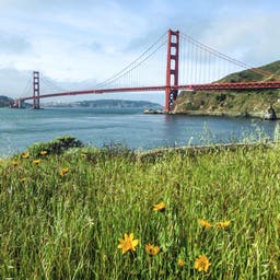 usa-san-francisco-t-517816925.jpg