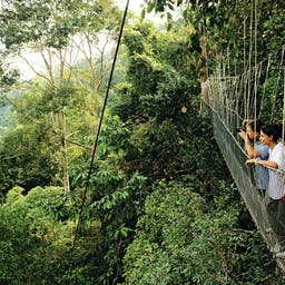 malaysia-national-park-pahang-f-katrin-kranz_2.jpg