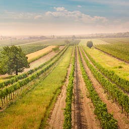 Hotel Burgenland