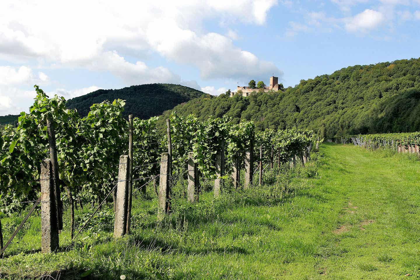 Weinstraße