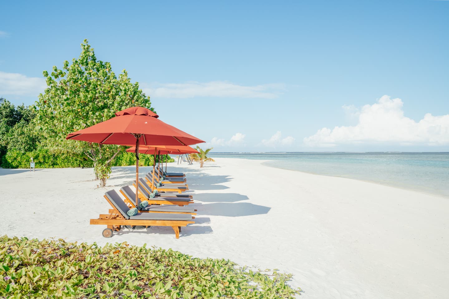 Sonnenliegen und Schirme am Hotelstrand