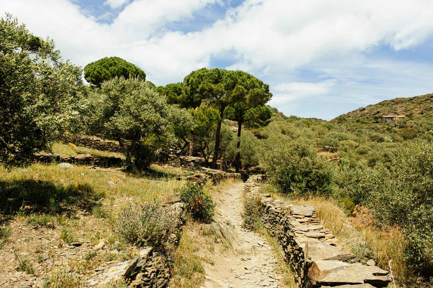 Urlaub an der Costa Brava – Wanderweg „Camí de Ronda“